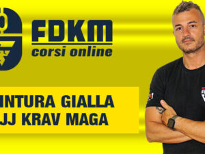 corso online cintura gialla ijj krav maga fdkm